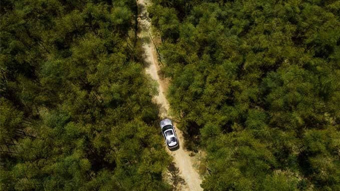 Range Rover driving in forest top view